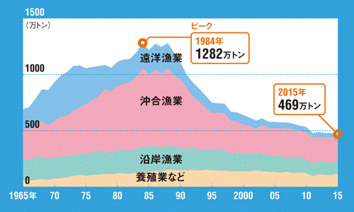 graph_fishamount.png